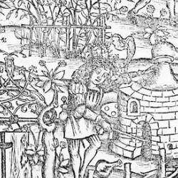 Distillation in the 15th century, from Liber de Arte Distillandi de Compositis by Hieronymus Brunschwig