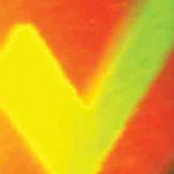 Holographic indicator for heart problems
