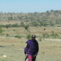 Masai bush landscape
