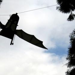 Leonardo's Flying Machine