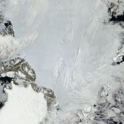 Mosaic of the Arctic