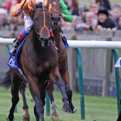 Parish Hall on right (a champion with Northern Dancer ancestry on both sides) wins the Group 1 Dubai Dewhurst Stakes at Newmarket in October 2011 for Jim Bolger