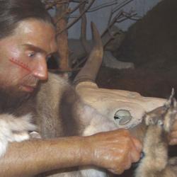 The traditional image of Neanderthals as gritty people who spent most of their time out hunting might not be entirely accurate, according to a new study revealing that they may have had to devote hours to daily subsistence tasks instead.