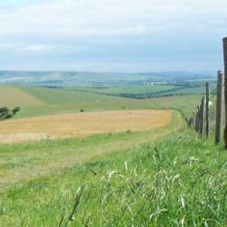 A path on the South Downs Way in Sussex