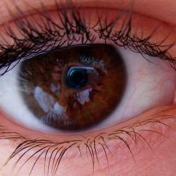 My eye