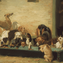 Feeding time at Battersea Dogs Home. John Charles Dollman, Table d’Hôte at a Dogs Home, 1879. 