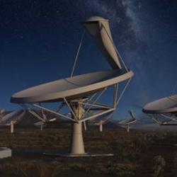 Artist's impression of the SKA, which will be made up of thousands of dishes that operate as one gigantic telescope