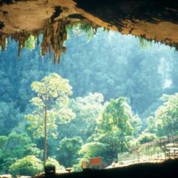 Niah-Cave, Borneo