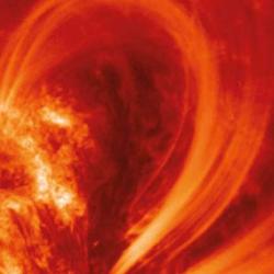 Sun's active region loops