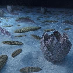 Artistic recreation of the marine animal forest