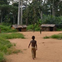 BaYaka camp in Congo. Image courtesy of Nikhil Chaudhary