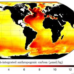 Map of depth-integrated anthropogenic carbon