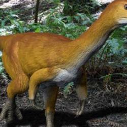 Life reconstruction of Chilesaurus diegosuarezi