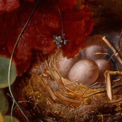 Nest of eggs; detail from ‘Flowers and Fruit’ (1732) by Jan van Os
