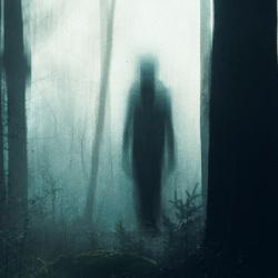 A ghostly figure silhouetted between trees in a forest