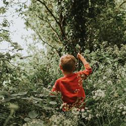 Young boy steadily makes his way through a dense forest of trees and cow parsley. He stands out in the green in his bright red jumper.