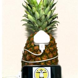 Possible to power an iPod with a Pineapple?