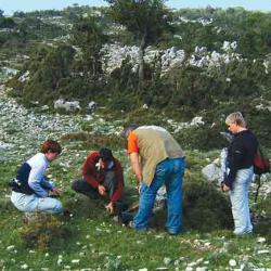 Plant collecting in Kephalonia 