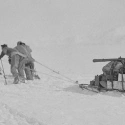 Foundering in soft snow: Bowers' sledge team; Wilson pushing; Oates and PO Evans repairing, Beardmore Glacier, 13 December 1911