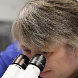 Scientist looking down microscope