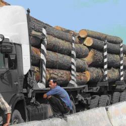 Siberian timber being delivered to China