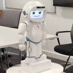 Humanoid QT robot and toy-like Misty robot
