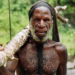 Dani tribesman on his way to his village in the Baliem Valley, Papua. 